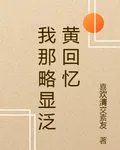 我那略顯泛黃回憶 封面