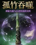 孤竹吞噬 封面