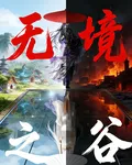 無境之谷 封面