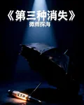 第三種消失 封面