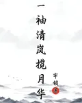 一袖清嵐攬月華 封面