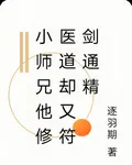 小師兄他修醫道卻又符劍通精 封面