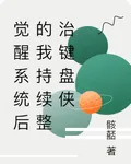 覺醒系統後的我持續整治鍵盤俠 封面