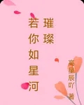 若你如星河璀璨 封面