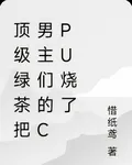 頂級綠茶把男主們的CPU燒了 封面