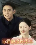 與君靜度樺華年 封面