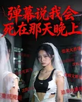 彈幕說我會死在那天晚上 封面