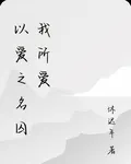 以愛之名囚我所愛 封面