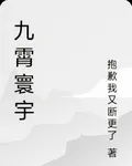 九霄寰宇 封面