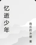 憶逝少年 封面