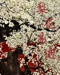 梨花易逝 封面