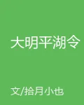 大明平湖令 封面