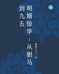 明婿驚華：從駙馬到九五 封面