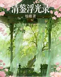 清鑑浮光錄 封面