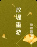 故堤重遊 封面