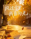 風過寧裏，我自向光 封面