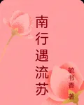 南行遇流蘇 封面