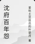 沈府百年怨 封面