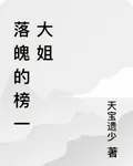 落魄的榜一大姐 封面
