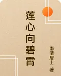 蓮心向碧霄 封面