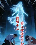 搞垮小三，前夫卻渾然不知 封面
