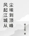 風起江城從塵埃到頂峯 封面