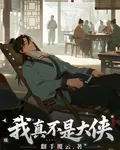 我真不是大俠 封面