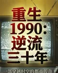 重生1990：逆流三十年 封面