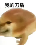 比比拉布，我的刀盾 封面