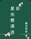 星光灑滿迷彩 封面