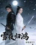 雪夜歸鴻 封面