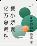 億萬總裁獨愛小嬌妻 封面