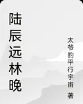 陸辰遠林晚 封面