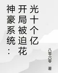 神豪系統：開局被迫花光十個億 封面