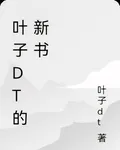 葉子dt的新書 封面