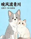 晚風渡青川 封面