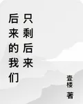 後來的我們只剩後來 封面