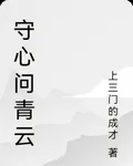 守心問青雲 封面
