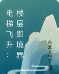 電梯飛昇：樓層即境界 封面