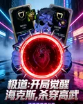 極道：開局覺醒海克斯，殺穿高武 封面