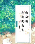 盜墓：向日葵卻向死而生 封面