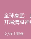 全球高武：我開局滿級神裝 封面
