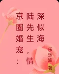 京圈婚寵：陸先生，情深似海 封面