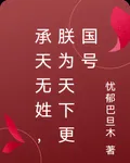 承天無姓，朕爲天下更國號 封面