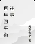 百年四平街往事 封面
