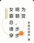 女霸總魂穿明朝，步步爲營 封面