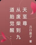 道胎覺醒：從廢柴到九天至尊 封面
