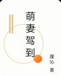 萌妻駕到 封面