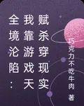 全境淪陷：我靠遊戲天賦殺穿現實 封面