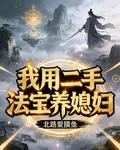 我用二手法寶養媳婦 封面